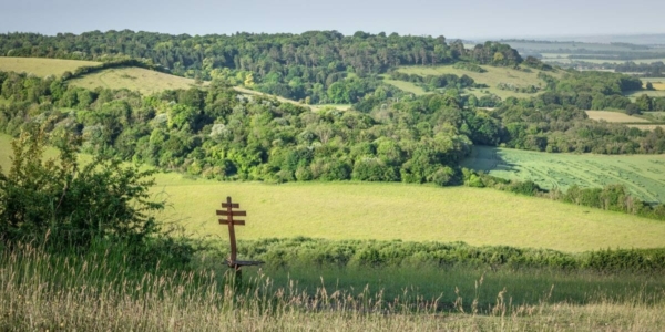 Very special Rosewood Farm: Personal circumstances justify ‘intentional unauthorised development’ in the AONB and Green Belt