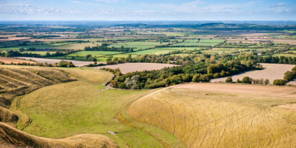 The importance of plan-led development and the status of Local Plan Reviews