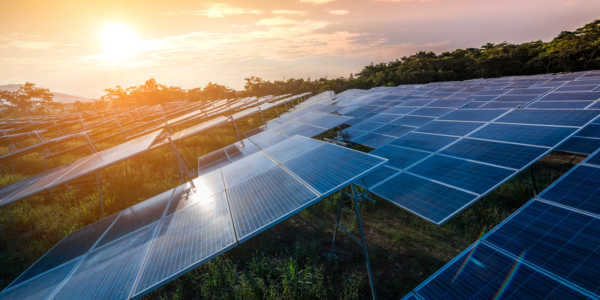 Sam Fowles begins planning inquiry for solar farm