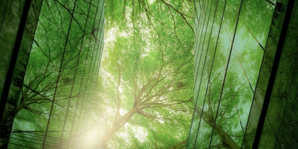 The Climate Change Committee’s 2023 Progress in reducing emissions Report to Parliament: A summary for climate litigators
