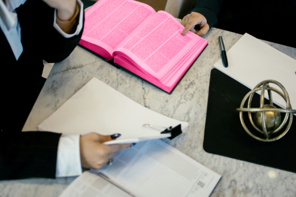 Mini-pupillage