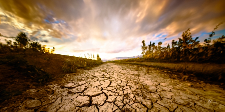 Who Pays for Climate Change: Arbitration, Accountability, and the Economics of Impact