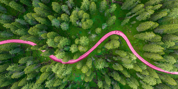 Unpacking the new NPPF draft