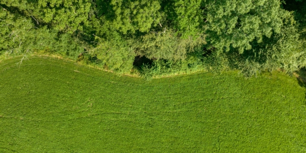 Urbanisation of Chelmsford’s Green Wedge is refused